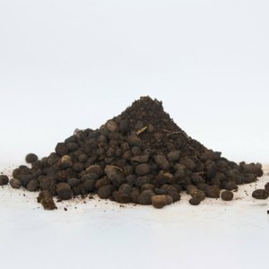Engrais organique en poudre à libération contrôlée, fumier biologique écologique et durable pour le Moyen-Orient - Product Image 4