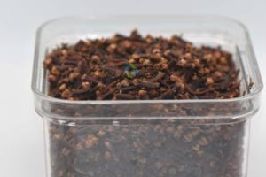 Vente en gros 100% produit agricole en poudre de clou de girofle brut pour le thé et les bienfaits pour la santé améliorés - Product Image 2