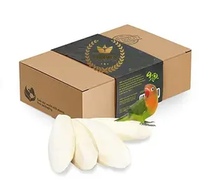 Premium Quality Dry Cuttlefish Bone Cuttlebone Bag Body Style Packaging Feature Lee Weight Shelf Origin Vietnam