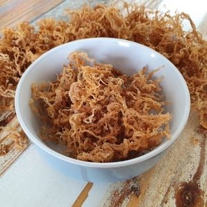Organic Irish <b>Moss</b> Wholesale OEM Packaging - Product Image 3