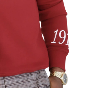 HBCU éduqué Chenille sweat marron polaire col rond 500GSM coton chaud hiver grec fraternité KAP vêtements personnalisés - Product Image 3