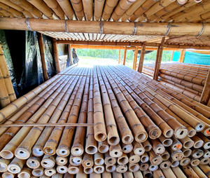 Postes de bambú natural para fines de construcción del proveedor de Vietnam - Product Image 3