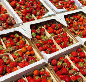 Fresas y Bayas Frescas Naturales y Saludables, Provenientes de Granjas, a Precios Competitivos, en Venta - Product Image 2