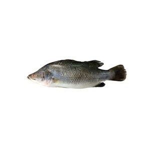 Proveedor Mayorista de Pescado Blanco Congelado Entero en Existencia, Envío Rápido - Product Image 5