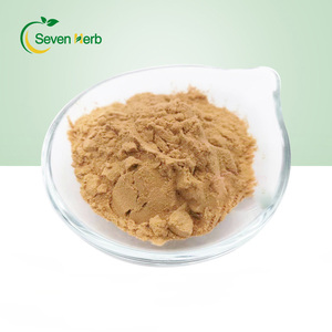 Extrait de champignon d'huître Polysaccharides 10%-50% Extrait de Pleurotus Eryngii Extrait de trompette royale - Product Image 1