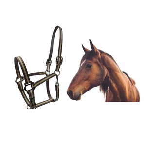 La mejor calidad de nylon PVC caballo Halter impermeable equipo ecuestre accesorios precio al por mayor - Product Image 3