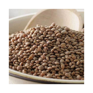 Bulk <b>lentil</b> seeds available at competitive prices ideal for wholesalers and exporters - Product Image 2
