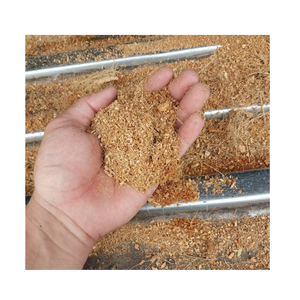 Turba de coco orgánica pura excelente para aplicaciones de vivero e invernadero de Horticultura sostenible y biodegradable - Product Image 4