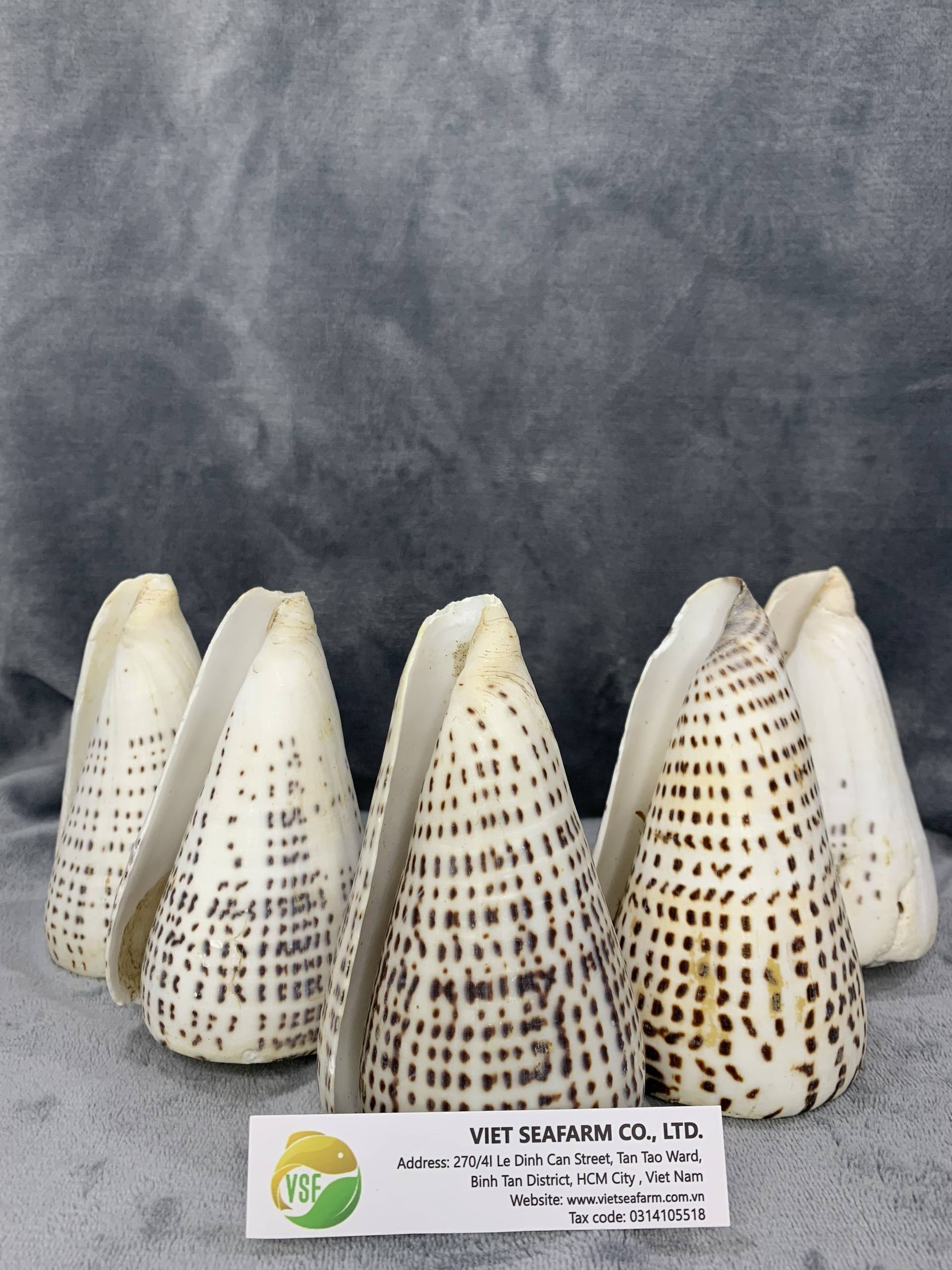 ธรรมชาติ