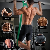 VIGFIT Calisthenics - Juego de Bandas de Resistencia Elásticas Largas de Color Rosa para Ejercicios de Pilates, Bandas de Resistencia de Látex con Logotipo Personalizado