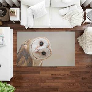 Alfombra Estampada con Diseño de Búho: Personalizada, para Baño, Decoración de Oficina, Animal, Contemporánea, con Pelo Suave - Product Image 2