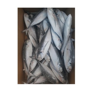 Pescado Congelado: Caballa del Pacífico - Proveedor Mayorista de Caballa del Pacífico - Product Image 2