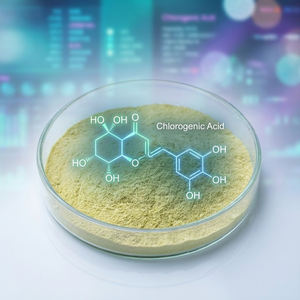 Groene Koffieboon Extract Gewichtsverlies Chlorogeenzuur Afslankpoeder Bulk Natuurlijk Cafeïnevrij Kruidensupplement Fabriek - Product Image 1