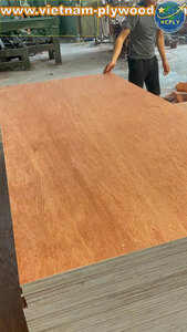 Contreplaqué Bintangor de haute qualité du Vietnam projets d'intérieur de Lucyplywood et fabricant de panneaux de bois pour une utilisation en entrepôt - Product Image 5