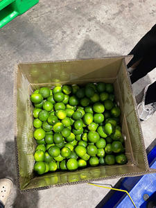 Limón Verde Premium Sin Semillas, Fruta Fresca de Limón - Product Image 6