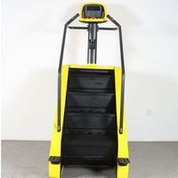 Appareil de fitness pour la gym : Stepper cardiovasculaire, simulateur d'escalade Master Stair Climber, machine d'escalade avec certification CE
