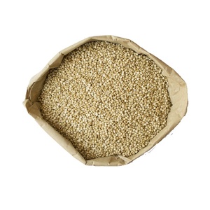 Graines biologiques de quinoa blanc en vrac Meilleur prix Acheter maintenant en stock Livraison rapide disponible Emballage personnalisé - Product Image 1