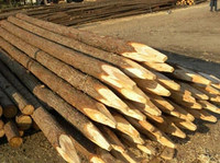 Fábrica de Vietnam, venta al por mayor, estacas de madera artesanales DIY para construcción y valla de granja, poste de madera, materiales de mampostería de alta calidad