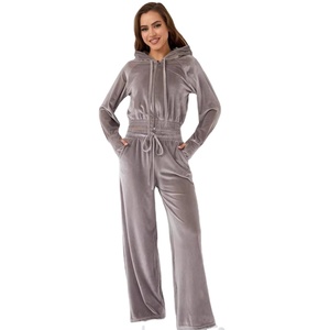 Ensemble tendance 2 pièces, ensemble de survêtement décontracté en velours pour femmes, automne, uni, argenté, pour sweat à capuche en polaire avec pantalon à cordon - Product Image 1