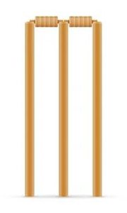 ผลิตภัณฑ์คริกเก็ต/ตอจิ้งหรีดพร้อมฐานไม้ - Product Image 4