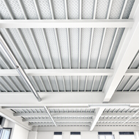 Plancher en acier |   Système de mezzanine en béton zéro 250*40 |   Construction sèche pour l'extension de loft dans les bâtiments de Dubaï