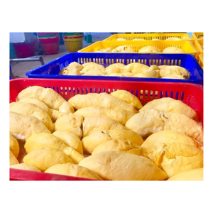 DURIAN CONGELADO - DELICIOSO DURIAN FRESCO CONGELADO de VIETNAM / Fruta de Durian Congelada / Exportación de Fruta Tropical Congelada - Product Image 1
