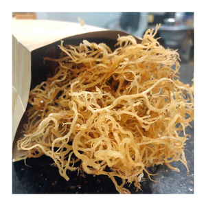 Mousse de mer salée/non salée séchée à la Offres Spéciales, mousse de mer dorée séchée, mousse de mer irlandaise dorée séchée de qualité supérieure du Vietnam - Product Image 1