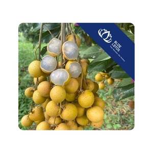 Longan Seco DISPONIBLE para Uso en Cocina Tradicional y Procesamiento de Ingredientes para Sopas, Personalizado de Vietnam - Product Image 1