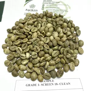 热销越南出口高品质批发罗布斯塔1级屏幕18绿咖啡豆