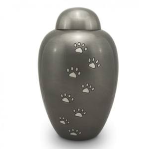 Urnas de Cremación para Mascotas de Latón de Alta Calidad con Diseño de Huella Dorada y Parte Superior Negra Acabada, Urnas Clásicas de Metal para Mascotas - Product Image 3