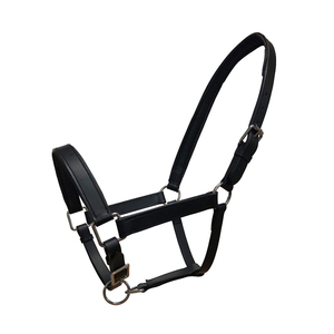 Cabestro de Cuero Personalizado para Montar a Caballo, Herrajes de Latón Macizo, Estilo de Silla de Montar Occidental, Color Personalizado de Alta Calidad, Logotipo Fizzan - Product Image 1