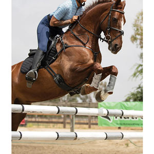 Pantalones cómodos personalizados de moda para niños, mallas occidentales con estampado de silicona de asiento completo, diseño de ropa de equitación transpirable - Product Image 6