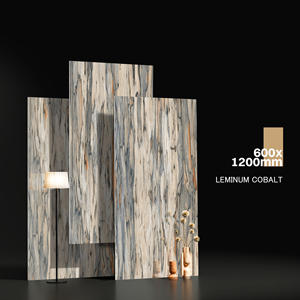 Nouvelle collection 2020 : Carreaux de sol modernes en porcelaine émaillée, résistants aux acides, garantie 5 ans et plus, fabriqués en Inde pour les salles de banquet d'hôtel - Product Image 1