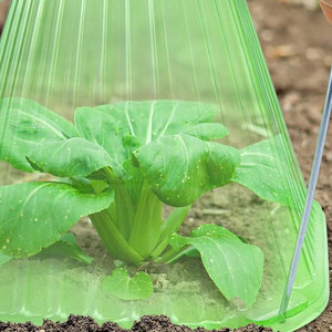 Cloches de jardin portables en plastique vert PP, lot de 12 couvre-plantes pour la protection contre le gel et l'herbe - Product Image 3