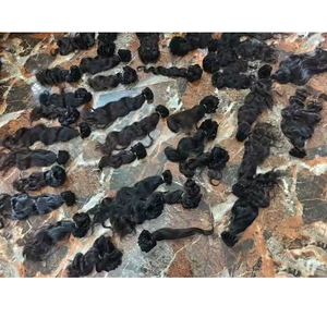 Paquets de cheveux humains à double trame, épais et doux, avec brillance naturelle, idéaux pour la fabrication de perruques et les installations à couverture complète. - Product Image 1