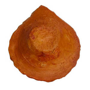 Lanternes Diya en terre cuite, lot de 5, 8 cm x 10 cm x 2 cm, pour décorations de fête - Product Image 5