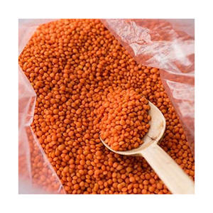 Lentejas Rojas Frescas de Primera Calidad, Altamente Nutritivas, 100% Naturales, Entrega Rápida, para la Gran Demanda Minorista y el Comercio al por Mayor - Product Image 2