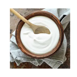 New Collection Yogurt 100 % Fresh Yogurt Available At Wholesale Price from Indian Supplier