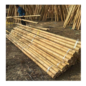 Postes de bambú natural duraderos para estructuras decorativas y diseño de eventos Postes de bambú Premium para proyectos versátiles - Product Image 1