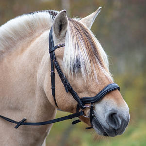 Diadema de Carreras de Caballos en inglés de buena calidad de India Brida Pescara Curved a precio asequible - Product Image 4