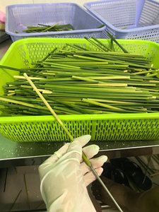 Bâtonnets de paille d'herbe séchée écologique 100% pailles d'herbe naturelle, biodégradables et sans plastique à vendre - Product Image 2