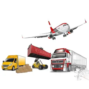 中国到美国/英国/澳大利亚的SP集装箱运输DDP运输物流服务航空/快递货运代理服务
