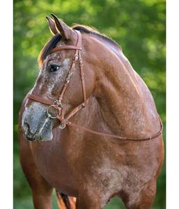 สายคล้องคอบังเหียนแบบคล้องคอพร้อมหนังม้าผสมเชือกแขวนคอและบังเหียนสีแทน - Product Image 2