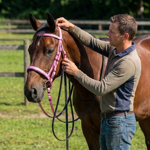 Brida de Cuero Premium para Caballo |   Ajustable y Duradero |   Ajuste Cómodo para Todos los Caballos |   Perfecto para Entrenamiento y Equitación - Product Image 3