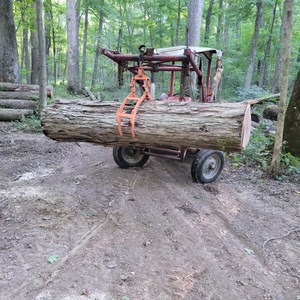 Bûches de bois, bois de teck, bûches de bois de chêne disponibles - Product Image 4