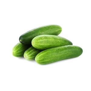 Concombre biologique de nouvelle récolte, 100% naturel, frais, vert, origine Royaume-Uni, durée de conservation de 24 mois, au prix - Product Image 4