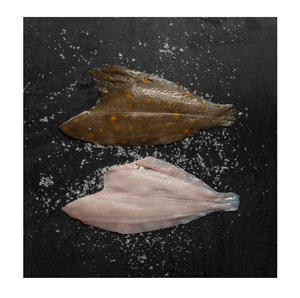 Morue entière et en filets surgelée de qualité supérieure - Fournisseur en gros de morue - Product Image 5