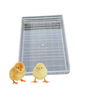 Piso de listón de plástico para aves de corral, buena calidad, seguro para equipos de aves de corral de pato, personalización del fabricante de Vietnam - Product Image 1
