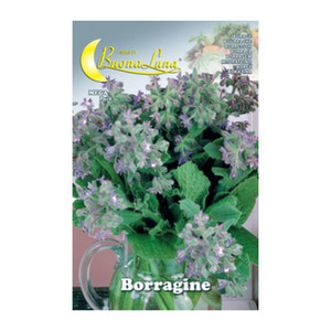 Semi Orto <span class=keywords><strong>Origano</strong></span> - Product Image 2