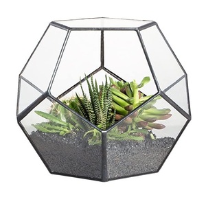 Accessoires de décoration de café ou de café de qualité supérieure Vente chaude Terrarium en verre de forme irrégulière Terrarium en verre transparent - Product Image 2